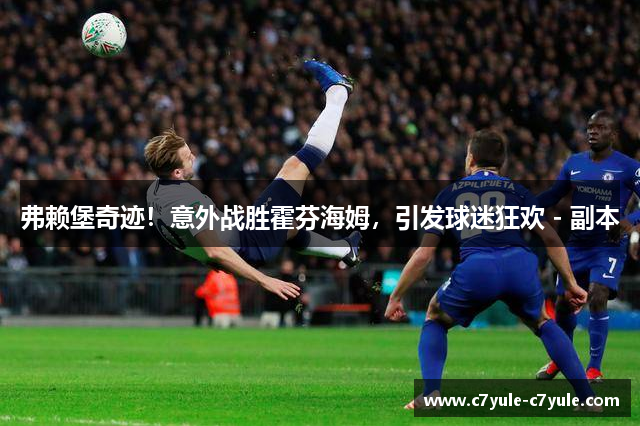 弗赖堡奇迹！意外战胜霍芬海姆，引发球迷狂欢 - 副本