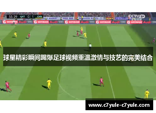 球星精彩瞬间踢爆足球视频重温激情与技艺的完美结合